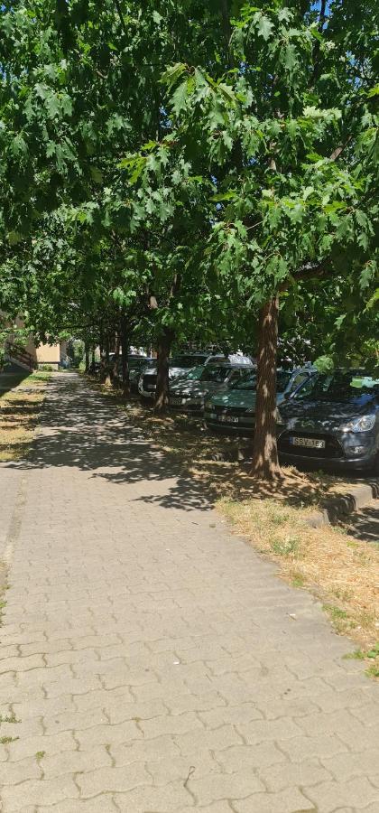 佐洛埃格塞格Ybs Apartman公寓 外观 照片